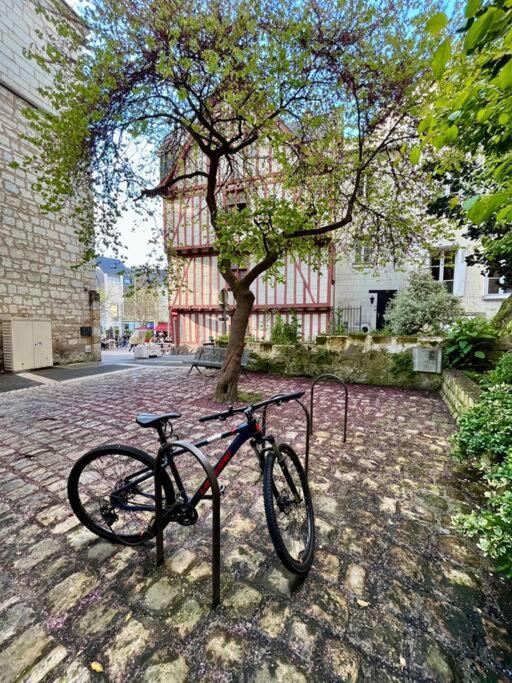 Appartement Cosy Hypercentre Place St Pierre Saumur Exteriér fotografie